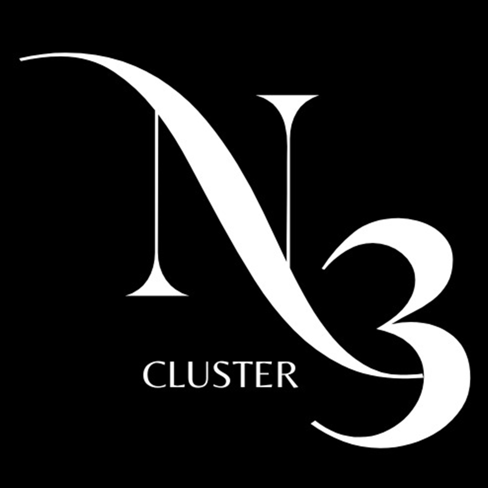 N3 Cluster logo v2